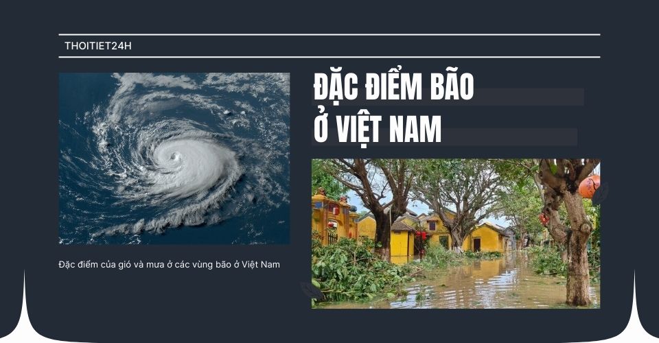 Đặc điểm của bão ở nước ta là gì? Tại sao bão hay vào miền Trung?